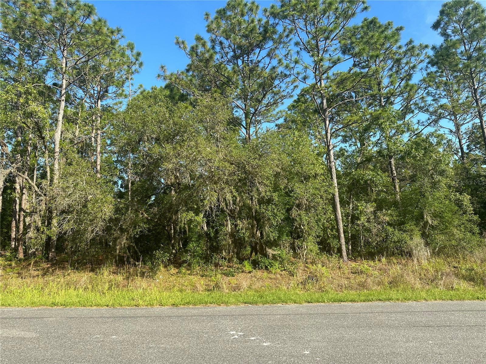 Property Photo:  8008 N Triana Drive  FL 34434 