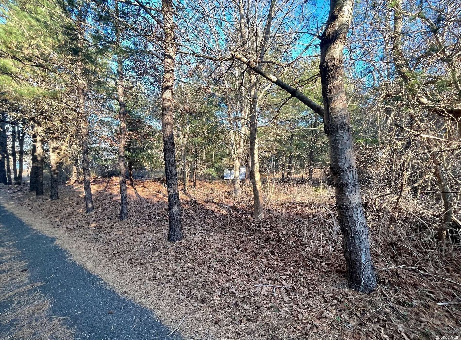 Property Photo:  1818 County Road 39  NY 11968 