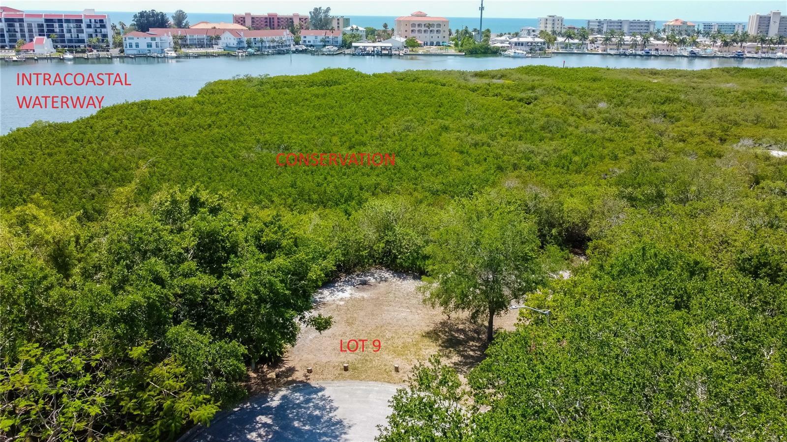 Property Photo:  Egret Woods Circle  FL 33776 