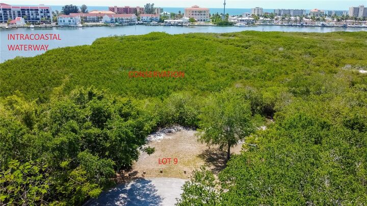 Property Photo:  Egret Woods Circle  FL 33776