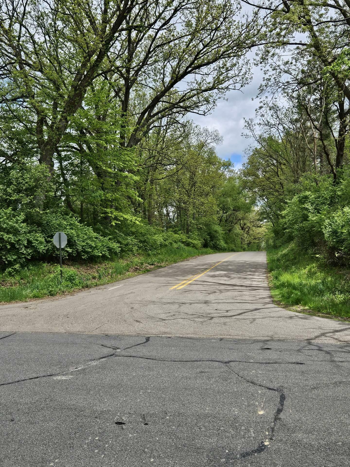 Property Photo:  Vl Maple Dale Road  MI 49201 