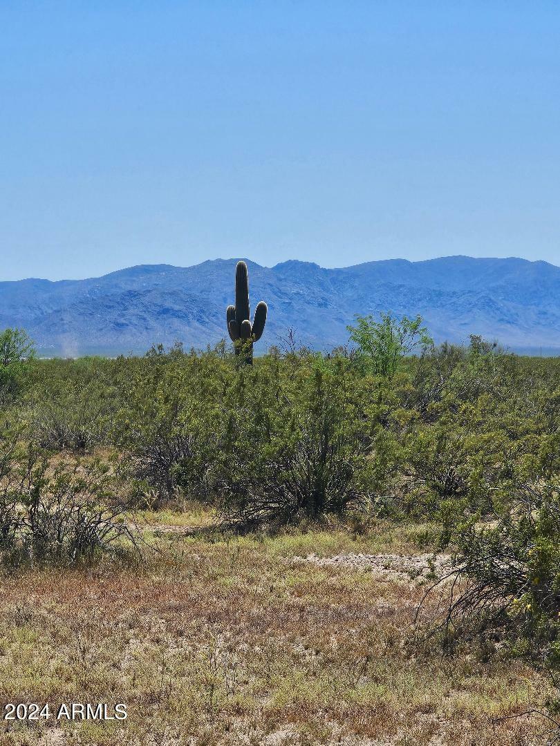 Property Photo:  0 W Trexler Road 0  AZ 85320 