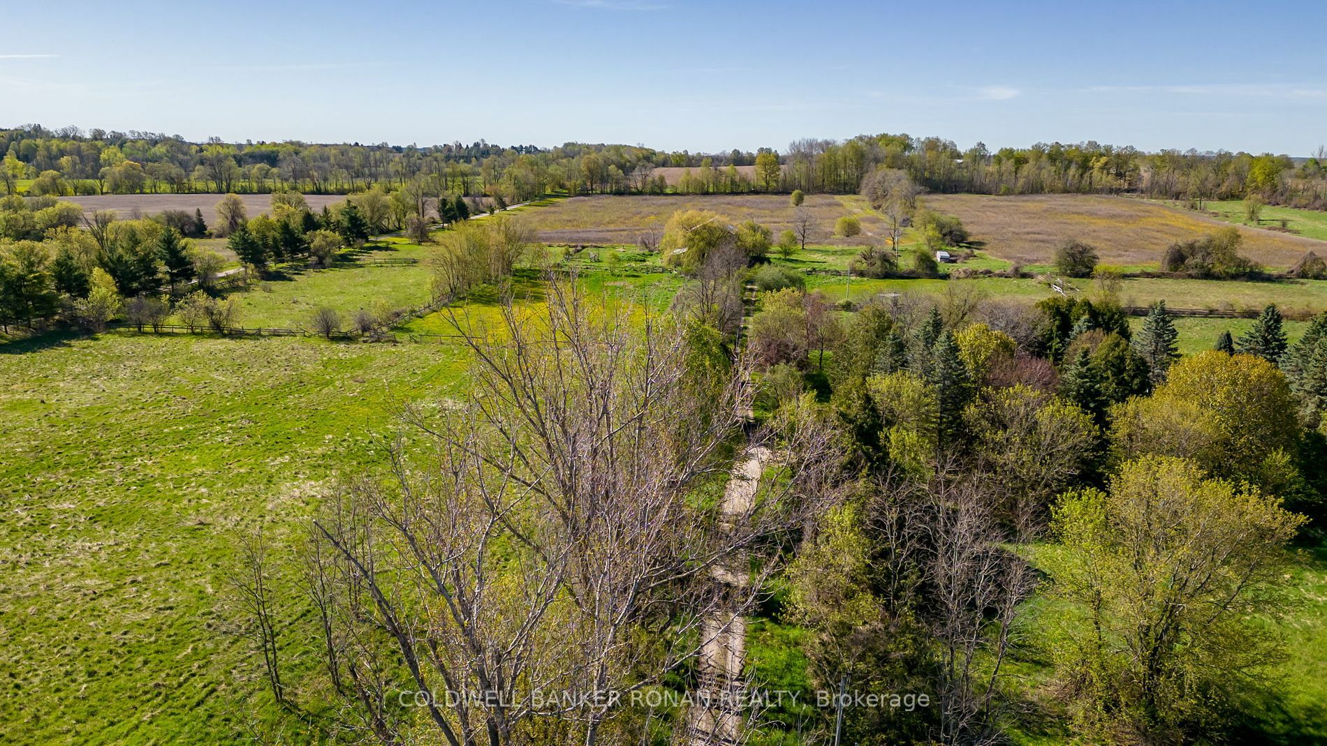 Photo de la propriété:  8689 County Rd 1  ON L0G 1L0 