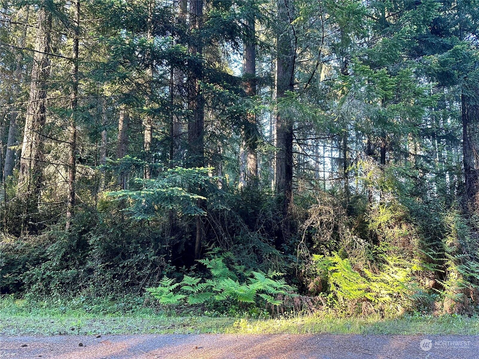 Property Photo:  9505 110th Avenue Ct  WA 98303 