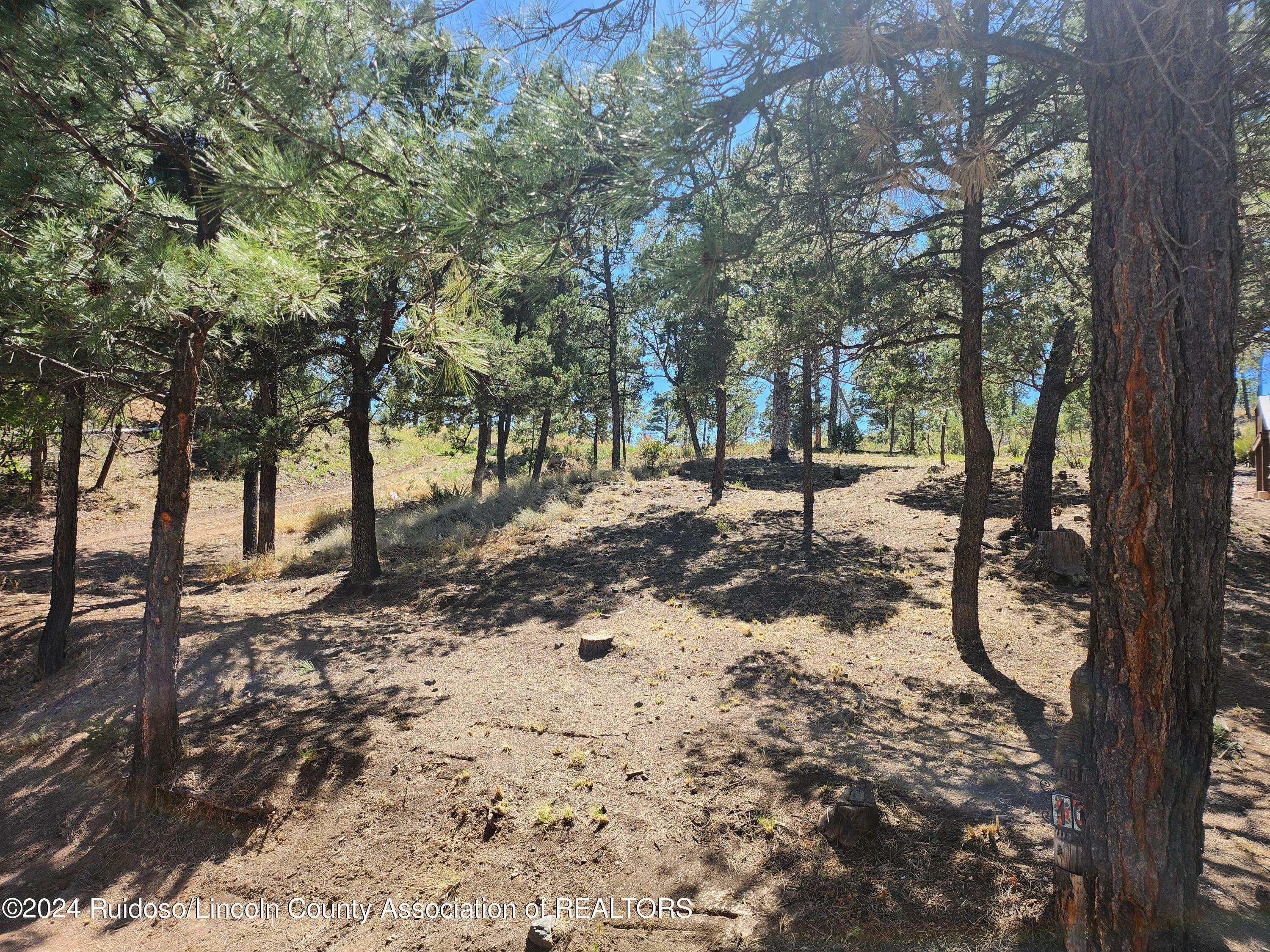 Property Photo:  104 Catron Road  NM 88345 