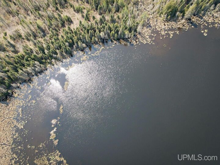 Property Photo: Tbd Parks Farm Road MI 49903