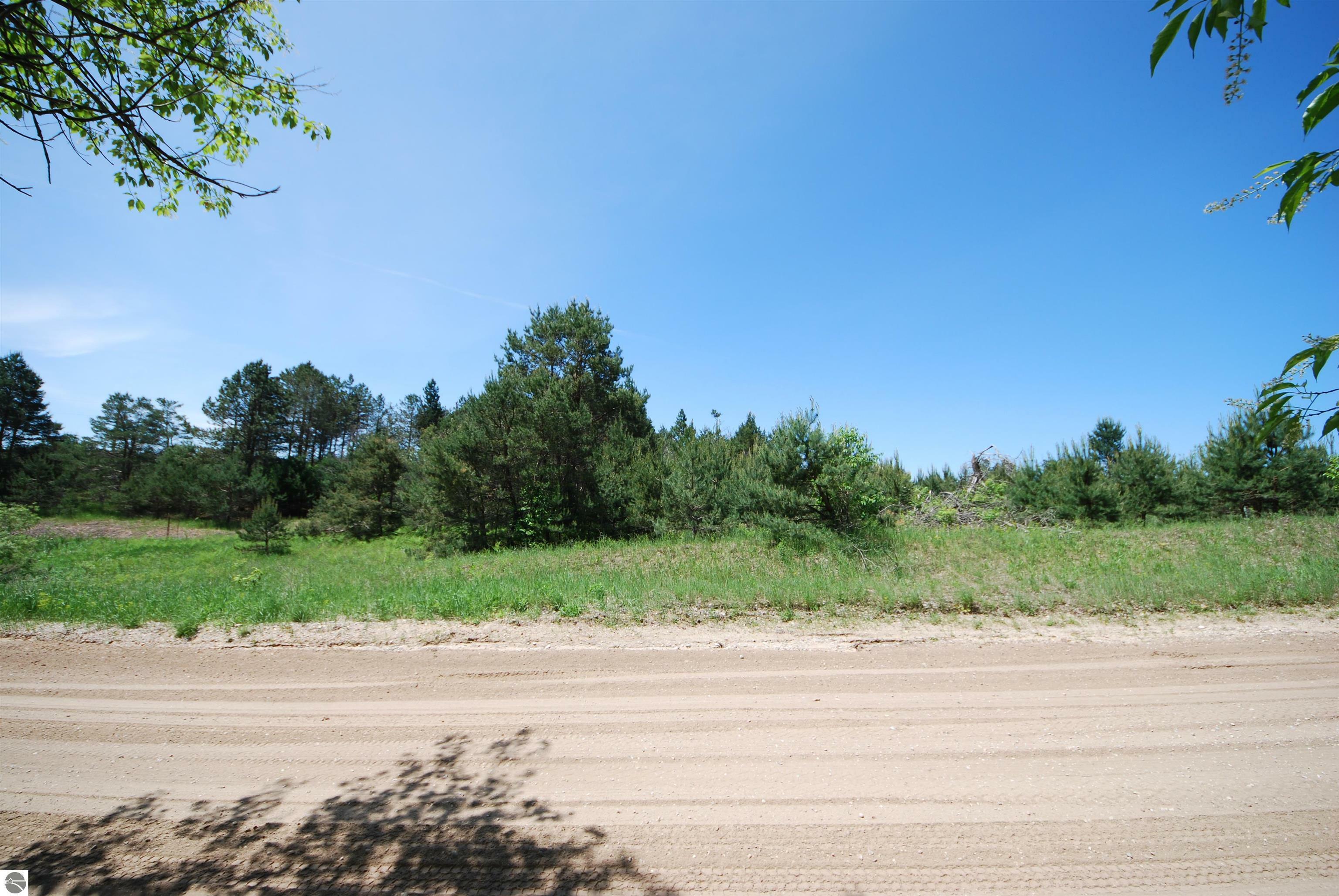 Property Photo:  SE Riley Road Parcel #4  MI 49646 