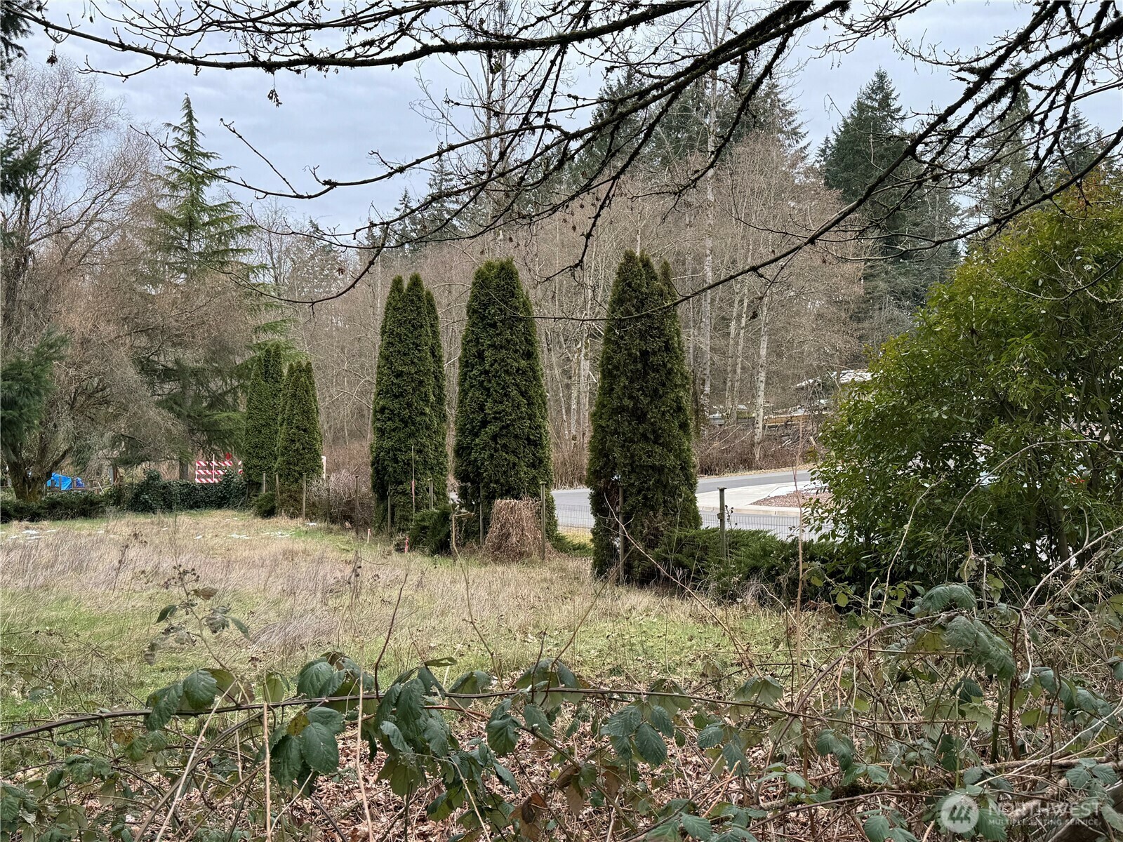 32534  44th Avenue S  Federal Way WA 98001 photo