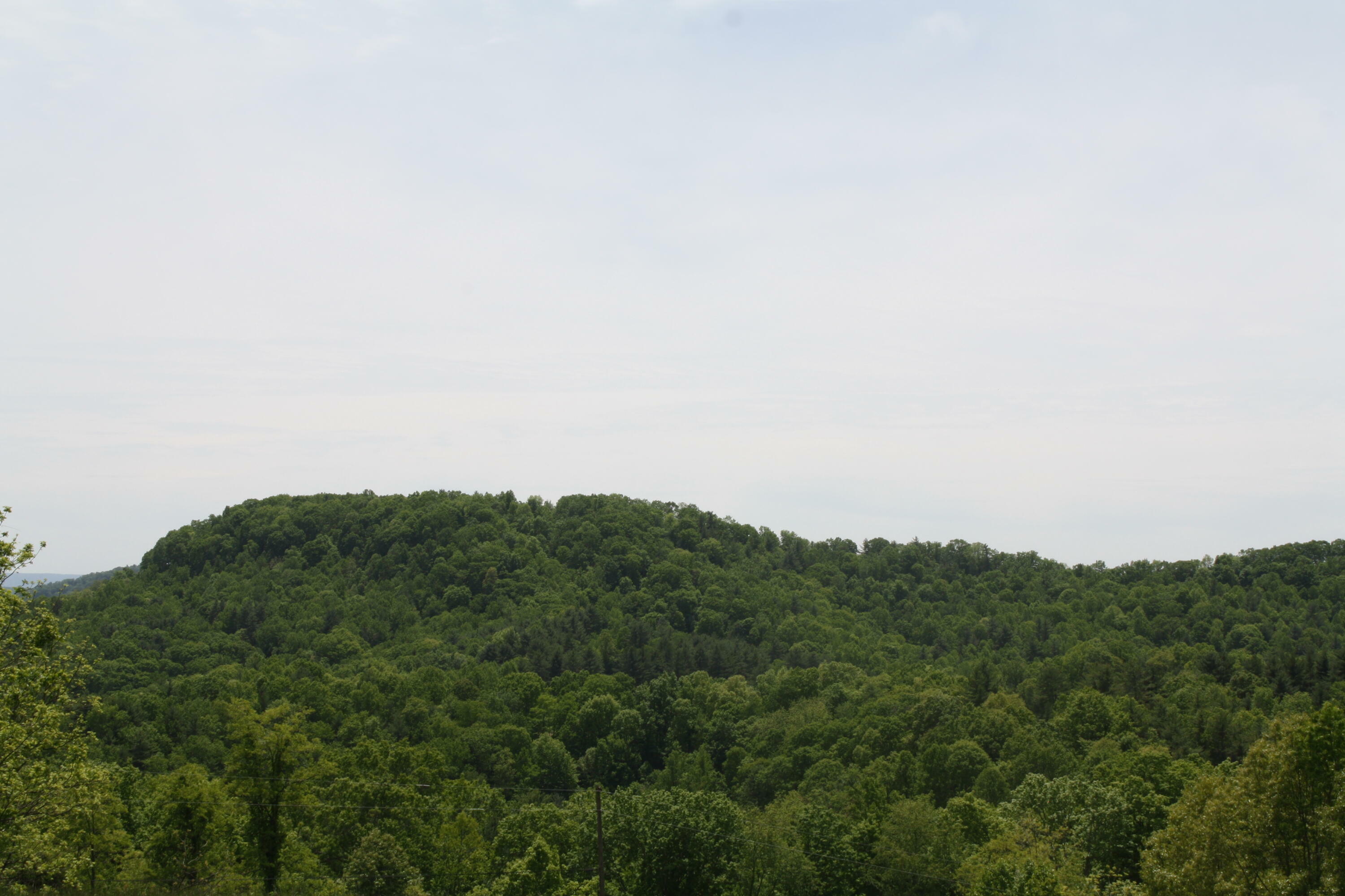 Property Photo:  Dunns Road  WV 25969 