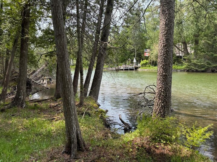 Property Photo:  Tbd Banwell Road  MI 49706 