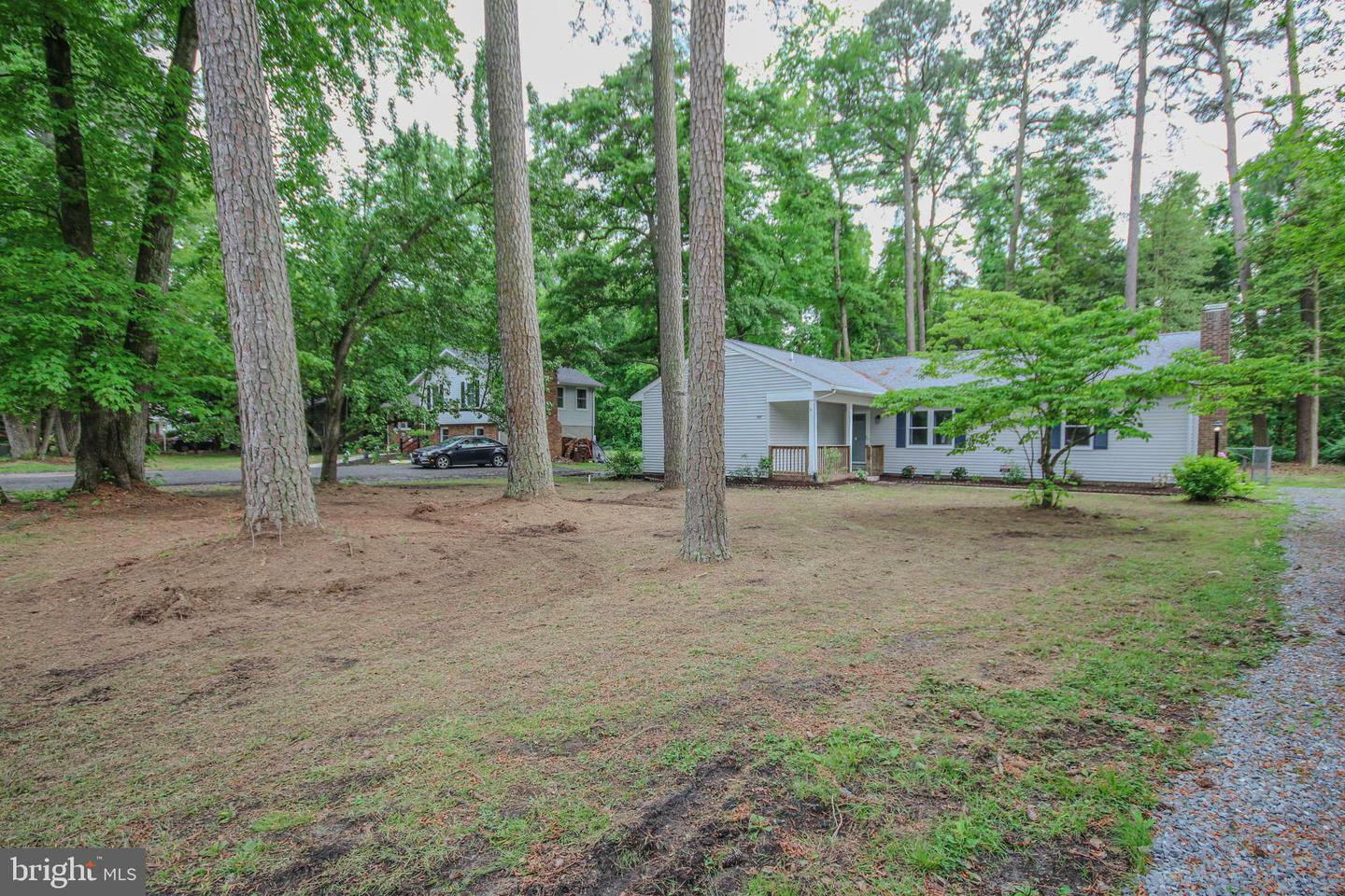 Property Photo:  502 Forest Drive  MD 21826 