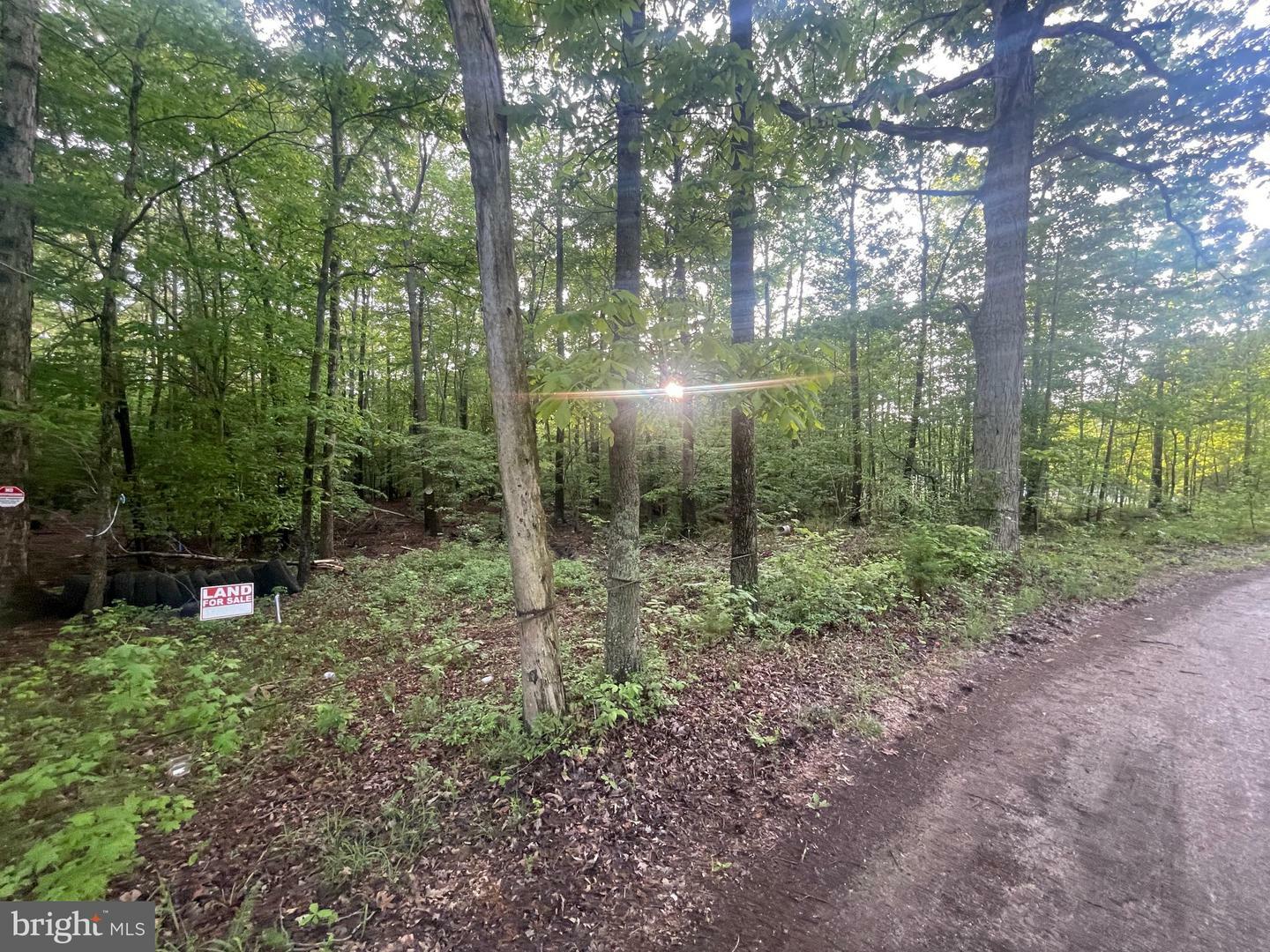 Property Photo:  0 Horsehead Road  MD 20613 