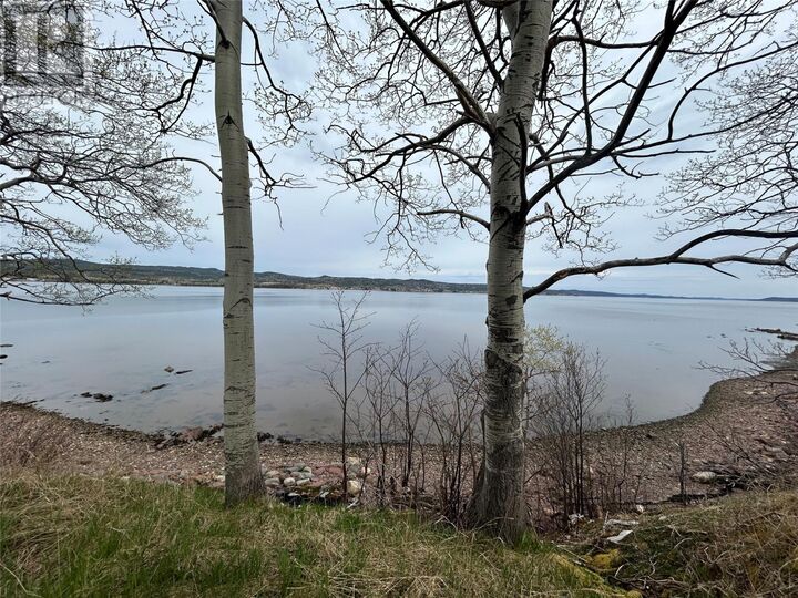 Property Photo:  38-40 Sacrey's Road  NL A0H 1E0 