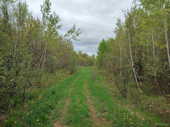 Tbd Victoria/Norwich Cut Across Road  Rockland MI 49960 photo