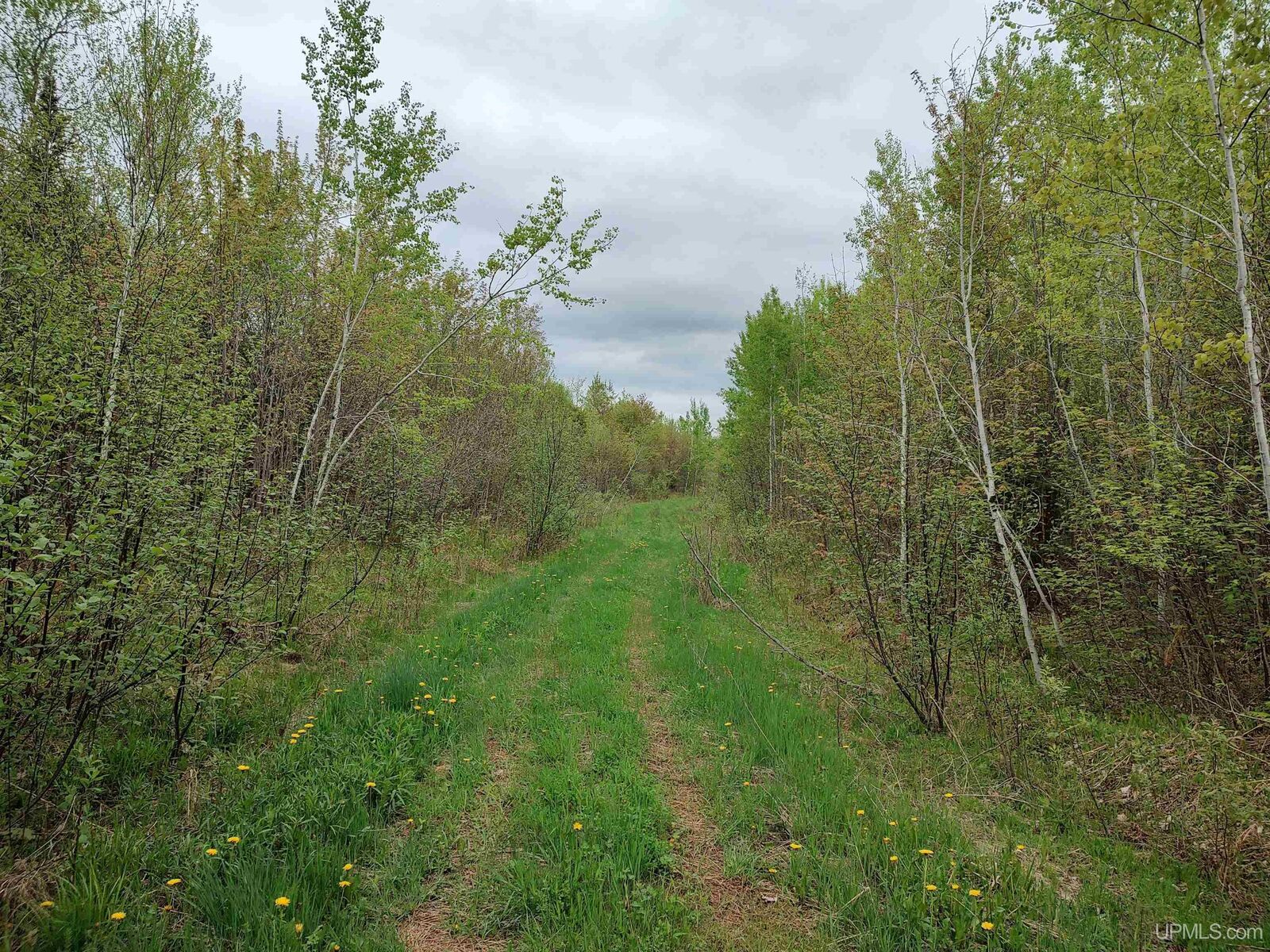 Property Photo:  Tbd Victoria/Norwich Cut Across Road  MI 49960 