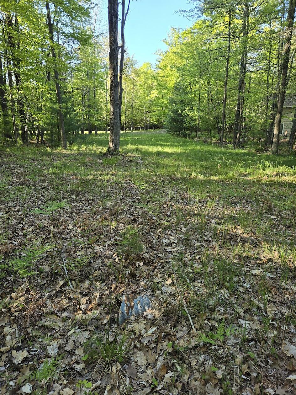 Property Photo:  Lt 5,14,15 N Ridge Road  MI 49436 