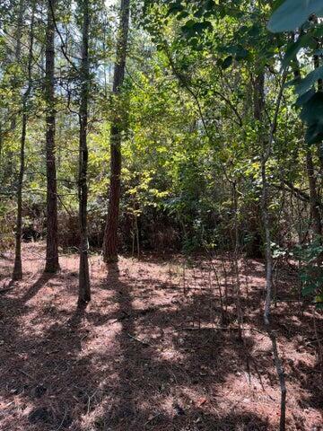 Property Photo:  000 Wedgewood Drive  FL 32425 