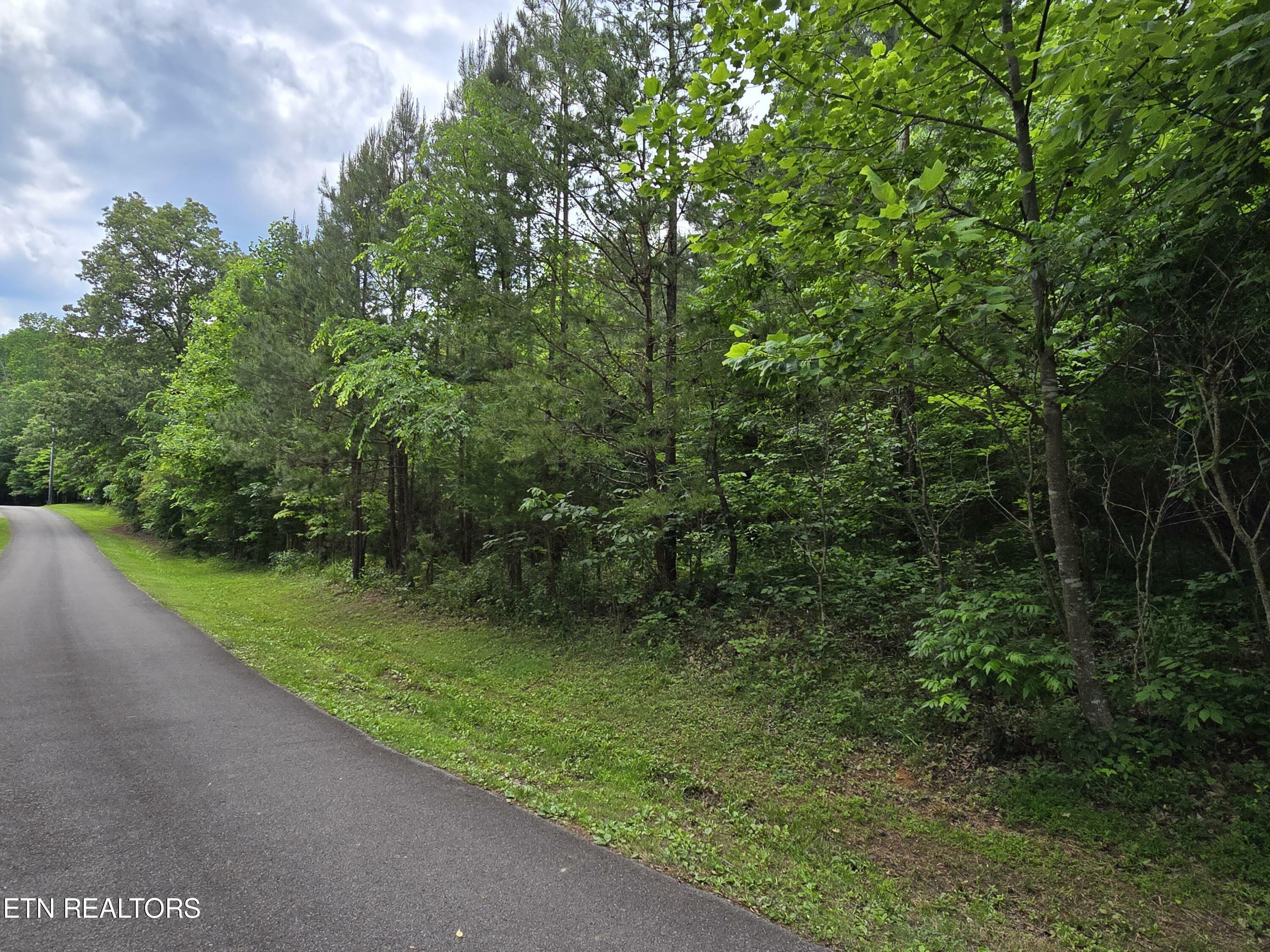 Property Photo:  Lot 274 Pine Loop Drive  TN 37354 