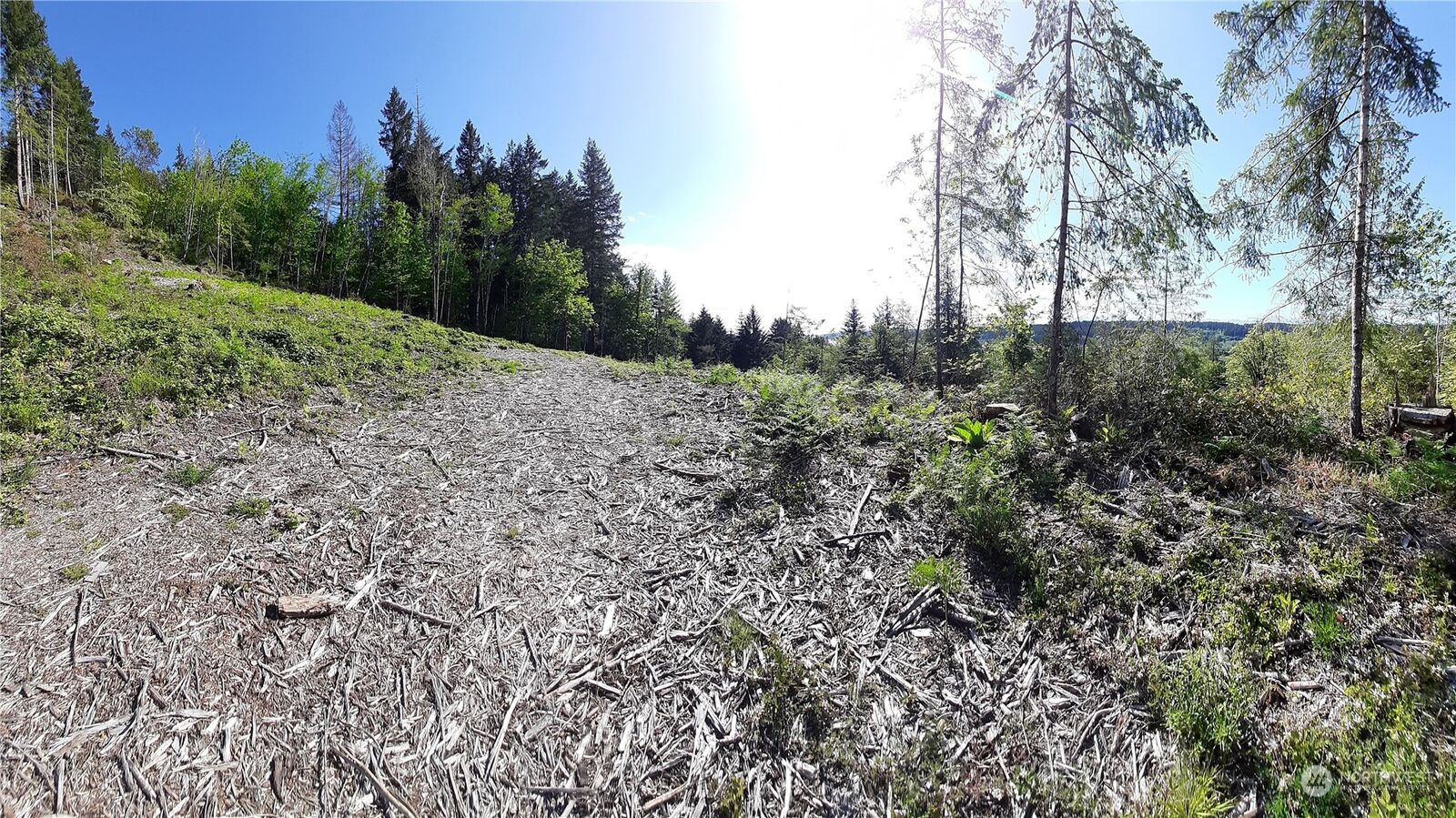 Property Photo:  101 NE Wj Way  WA 98528 