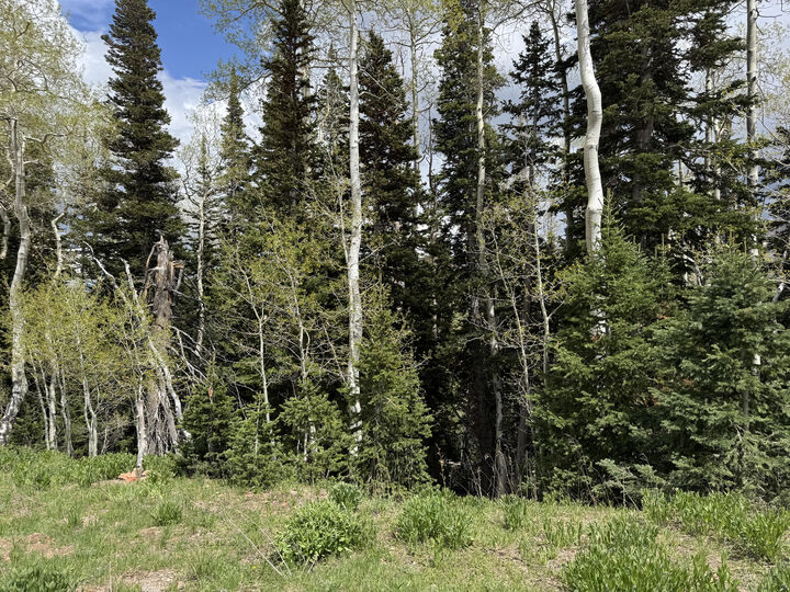 Property Photo:  695 W Hunter Ridge  UT 84719 