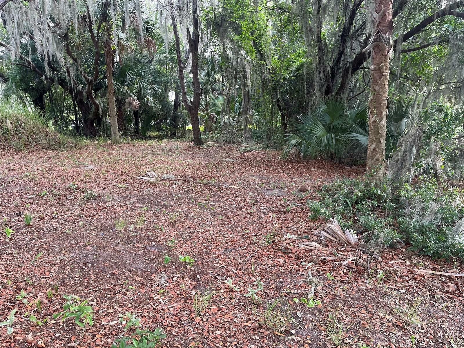 Property Photo:  24216 Bear Den Drive  FL 32736 