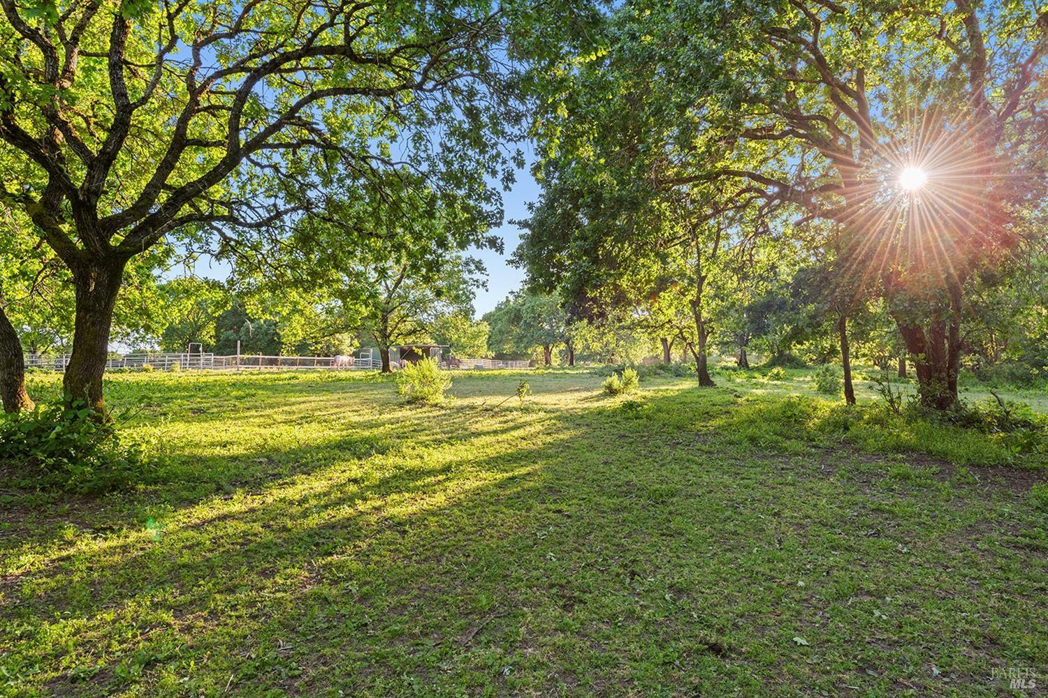 Property Photo:  100 Sparkes Road  CA 95472 