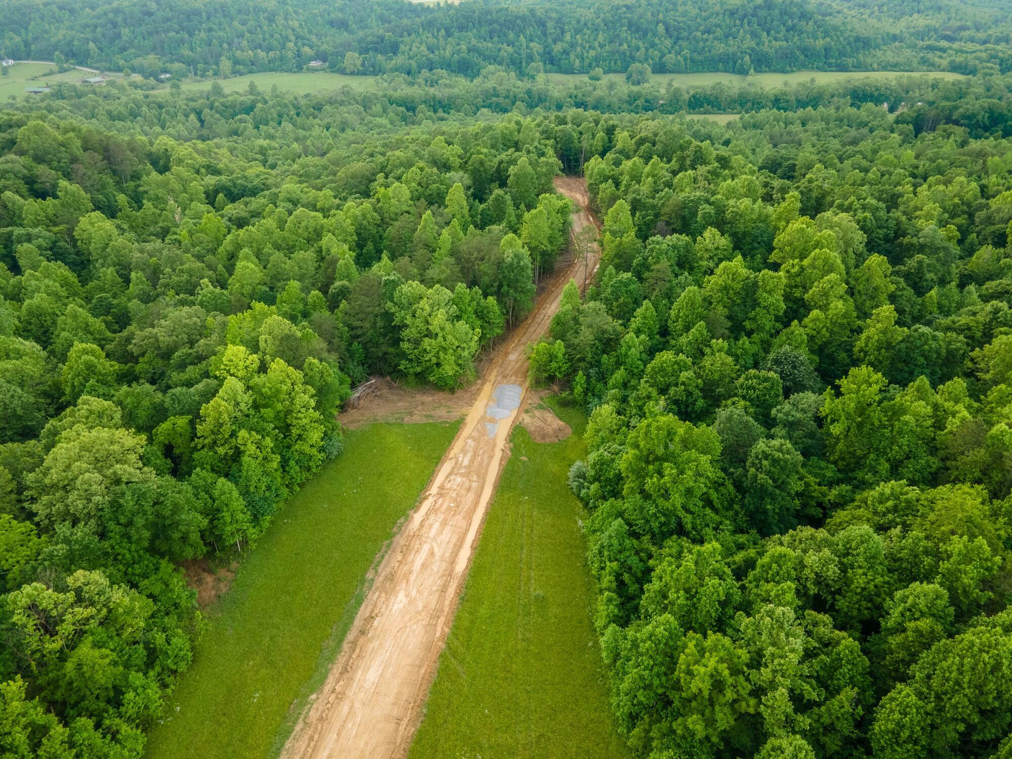 Property Photo:  Lot 138 Mt Morgan Road  KY 40769 