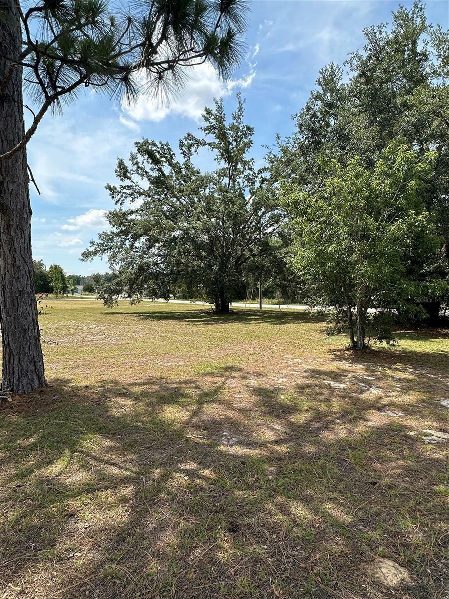 Property Photo:  Pine Track Loop  FL 34472 