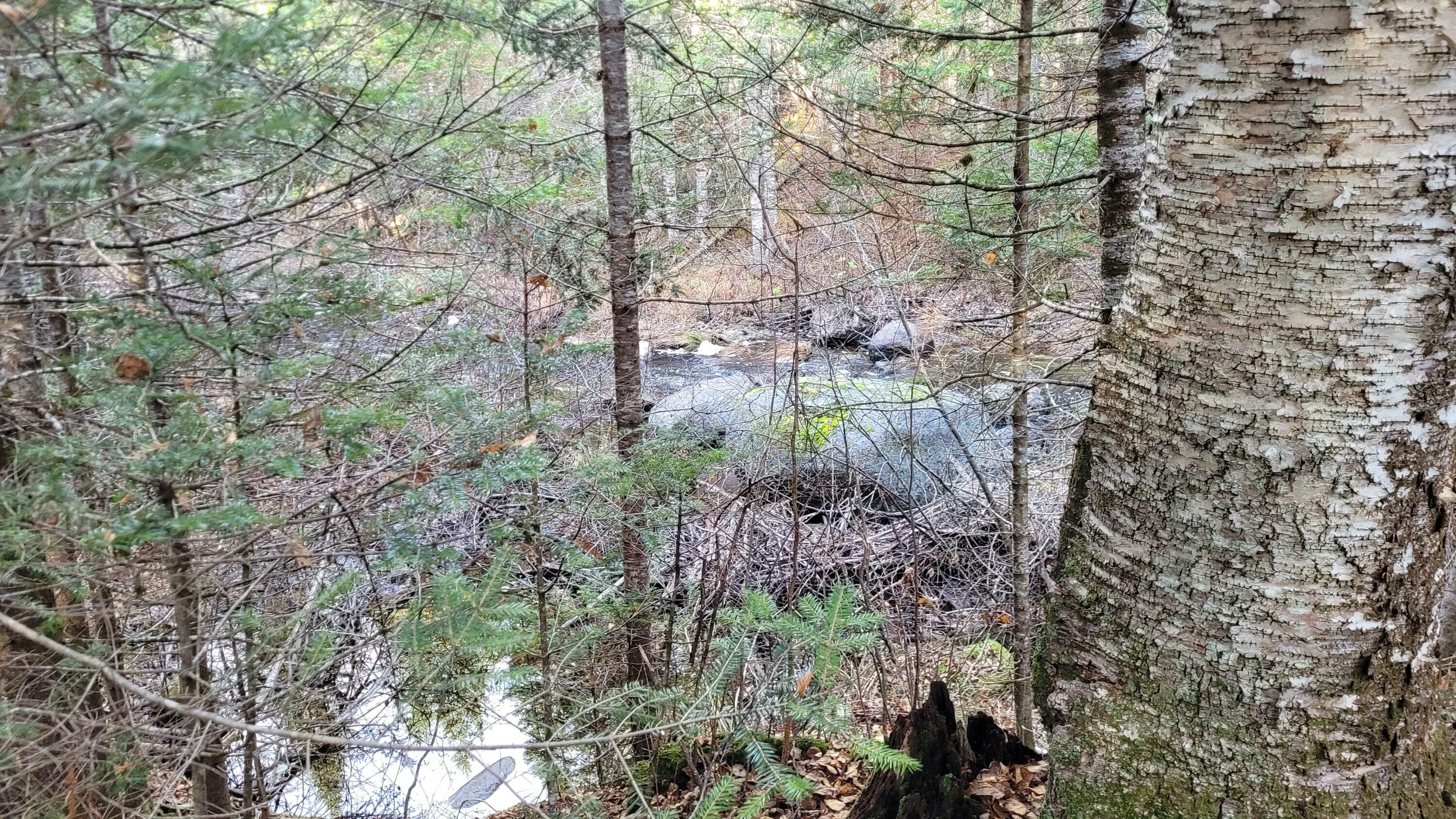 Property Photo: Lot 11 Fox Run ME 04605