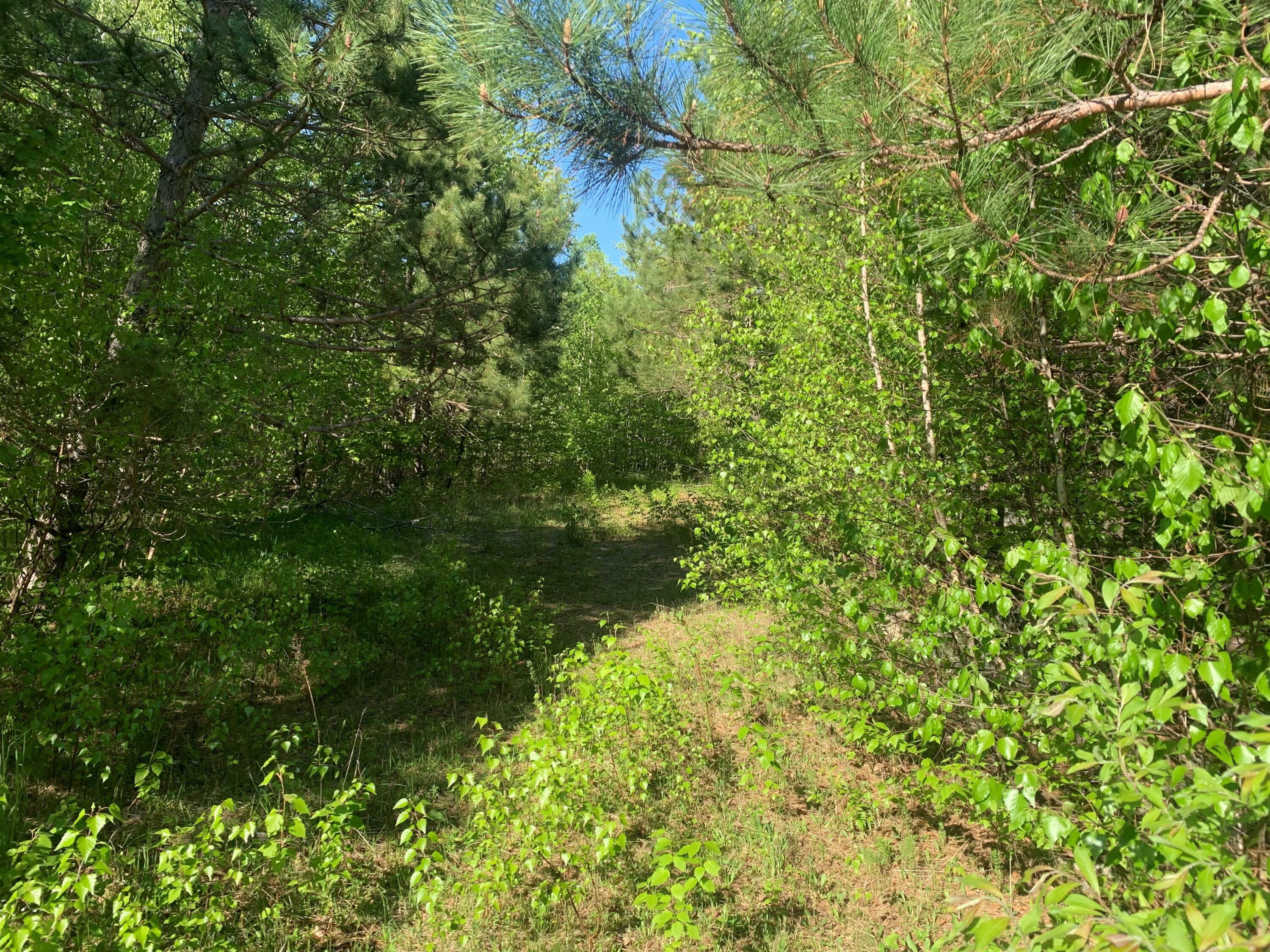 Property Photo:  Lot 24 Grand View Drive  ME 04429 