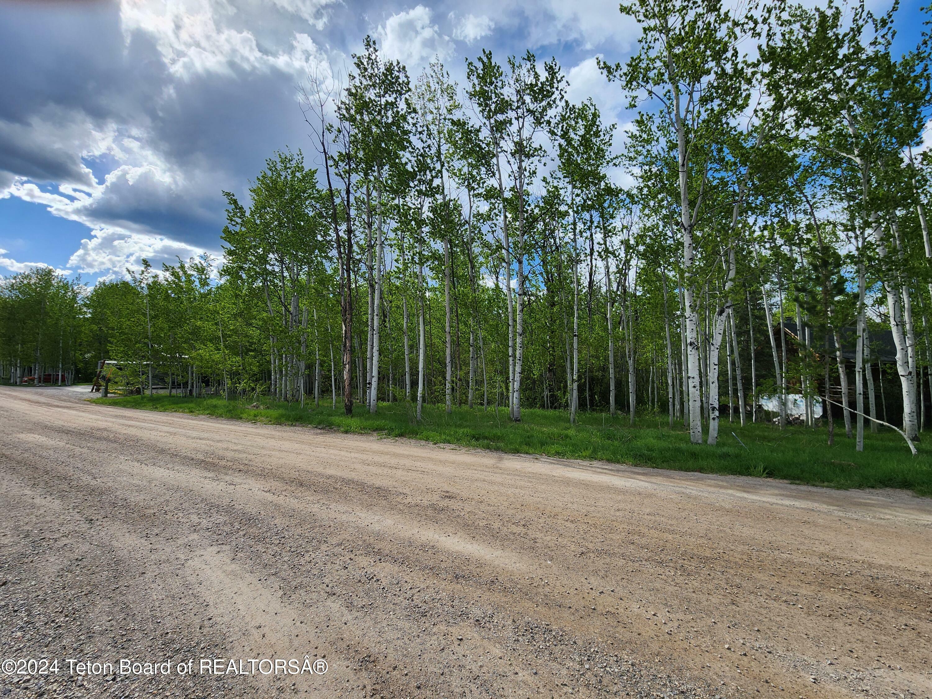 Property Photo:  Lot 14 Walnut Drive  WY 83127 