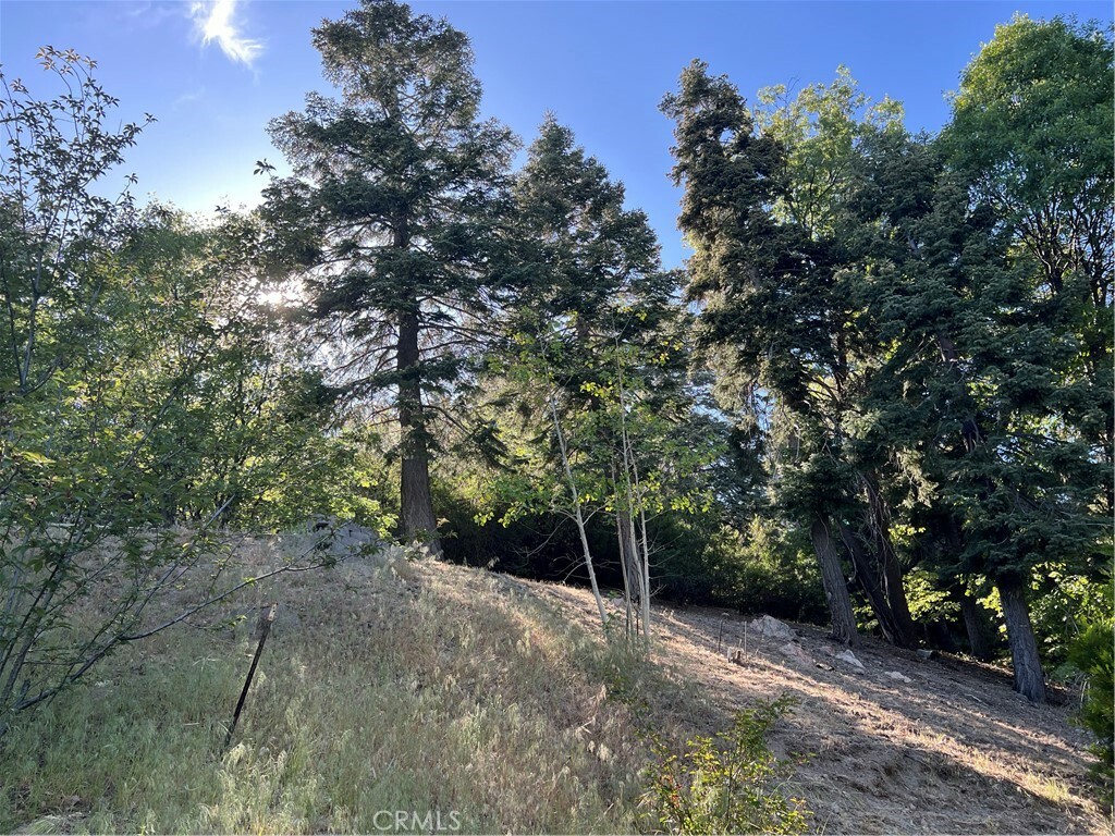 Property Photo:  30914 Old City Creek Drive  CA 92382 
