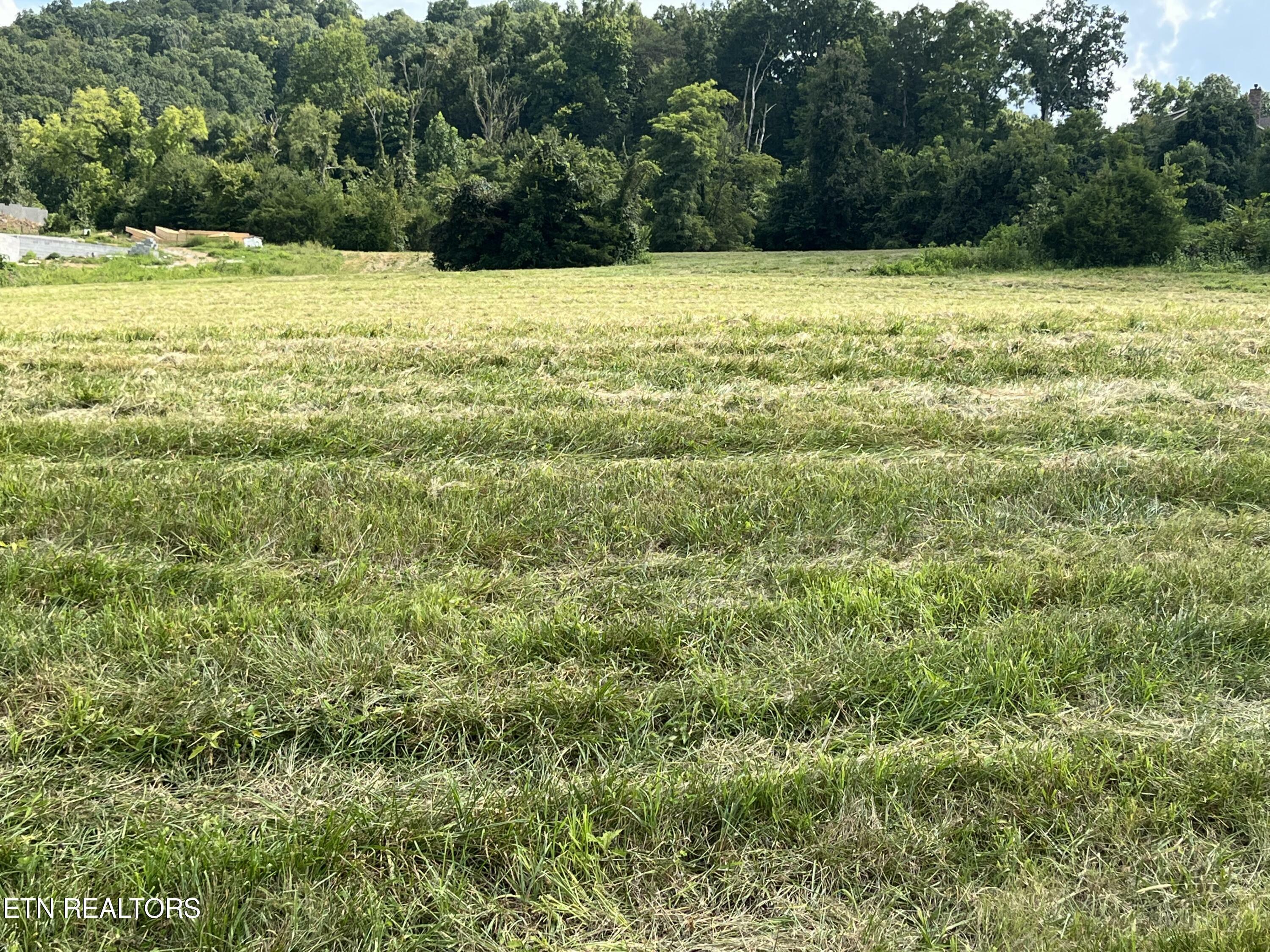 Property Photo:  Lot 281 Russell Brothers Rd  TN 37866 