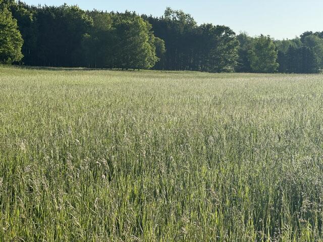 Property Photo:  Tbd Buchanan Rd  MI 49346 