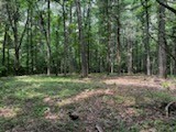Property Photo: 0 Franklin TN 37036
