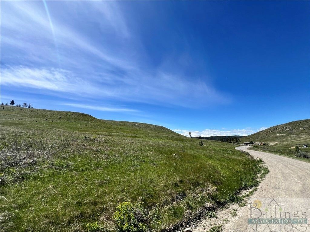 Property Photo:  Nhn (Lot 21) North Fork Eagle Mountain Rd  MT 59019 