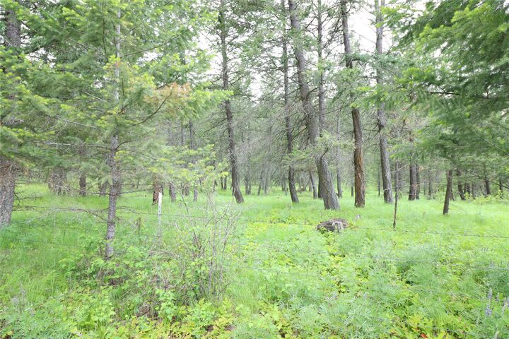 Property Photo: Nhn Black Lake Road MT 59930