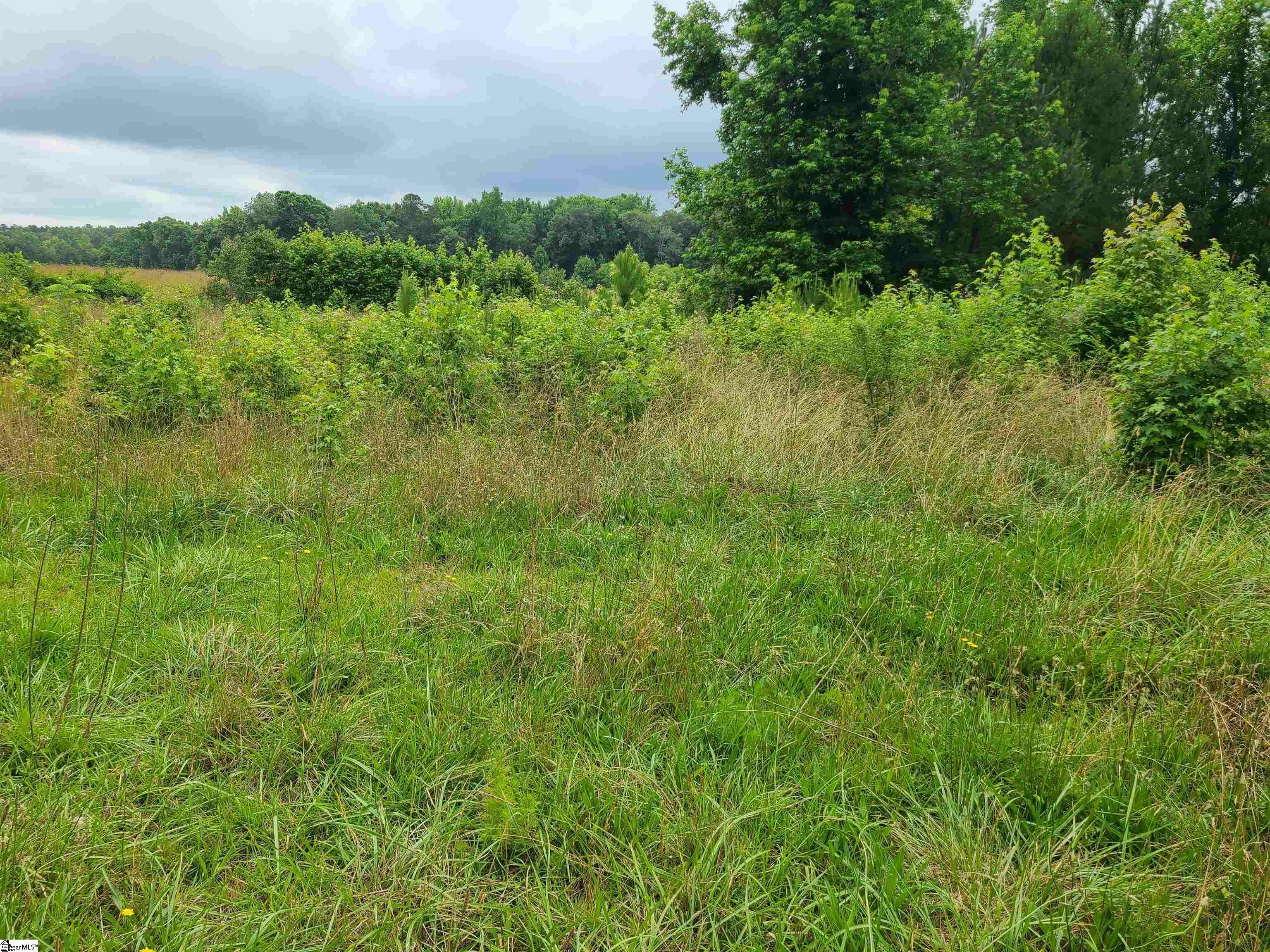 Property Photo:  76 W Highway  SC 29654 