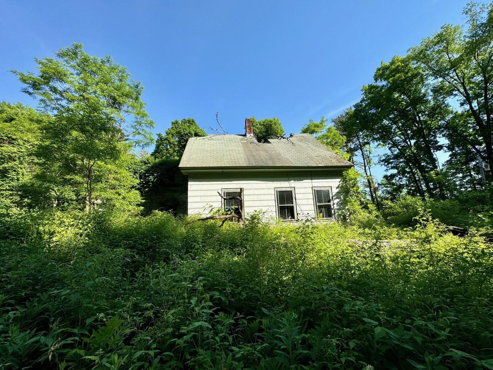Property Photo:  155 Randall Hill Road  VT 05150 
