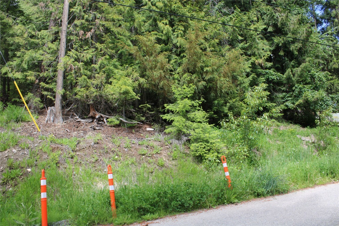 Property Photo:  Lot 13 Stampede Trail  BC V0E 1M8 