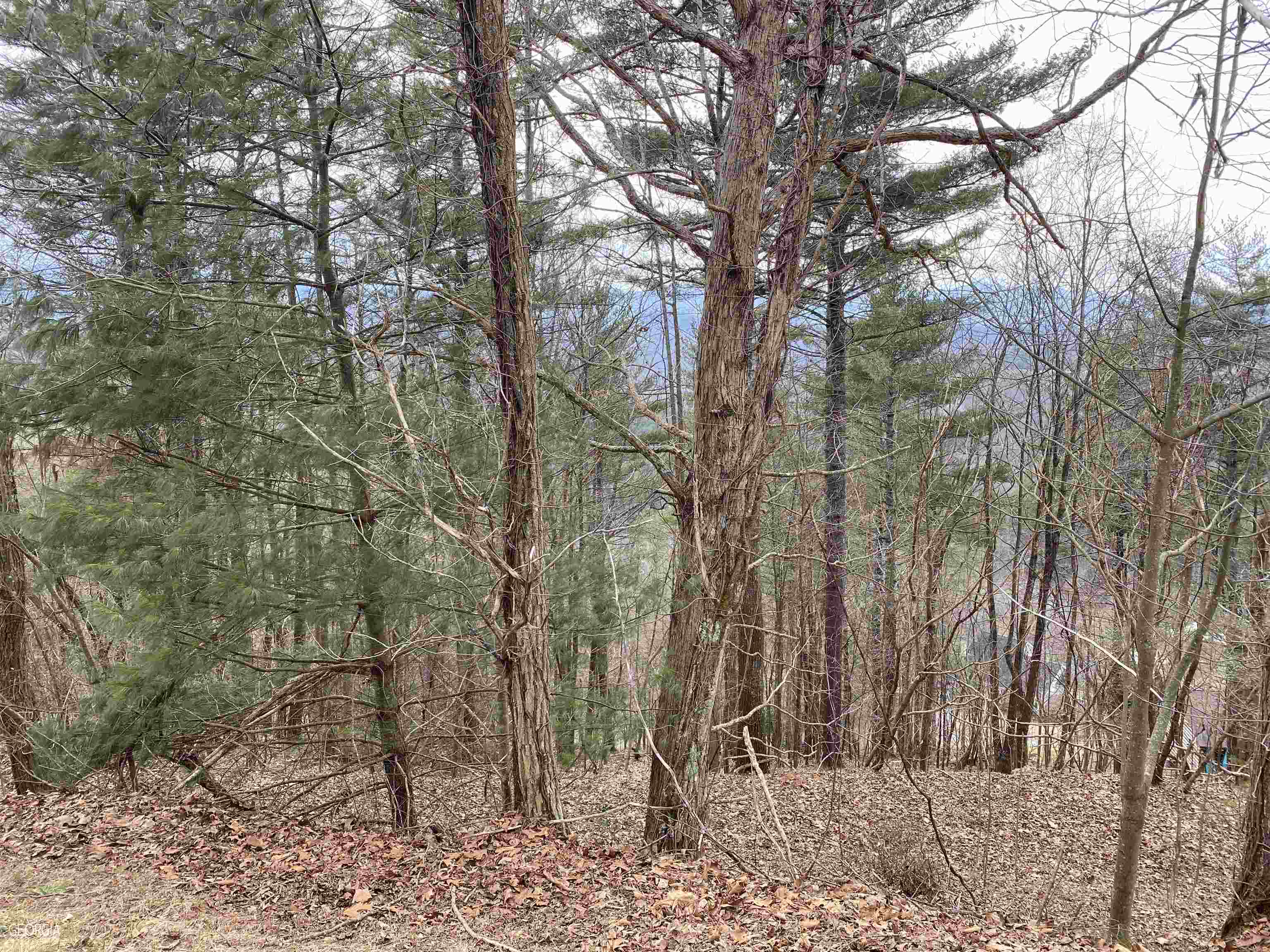 Property Photo:  Lt 58 Mountain Top Road  GA 30512 