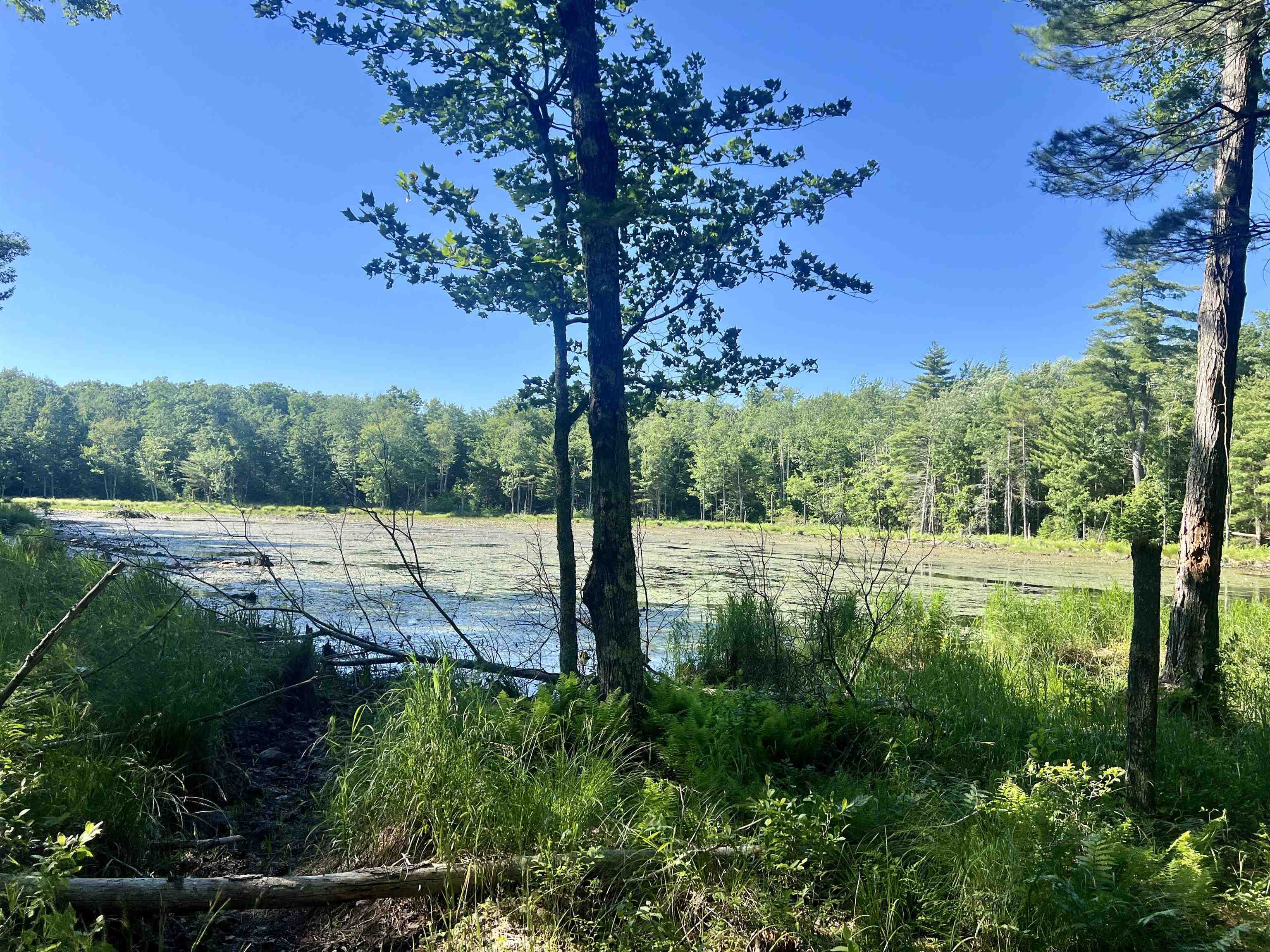 Property Photo:  Map 231 Lot 27-1 Green Street  NH 03261 