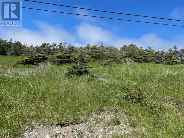 Property Photo:  112 Felix Cove Road  NL A0N 1T0 