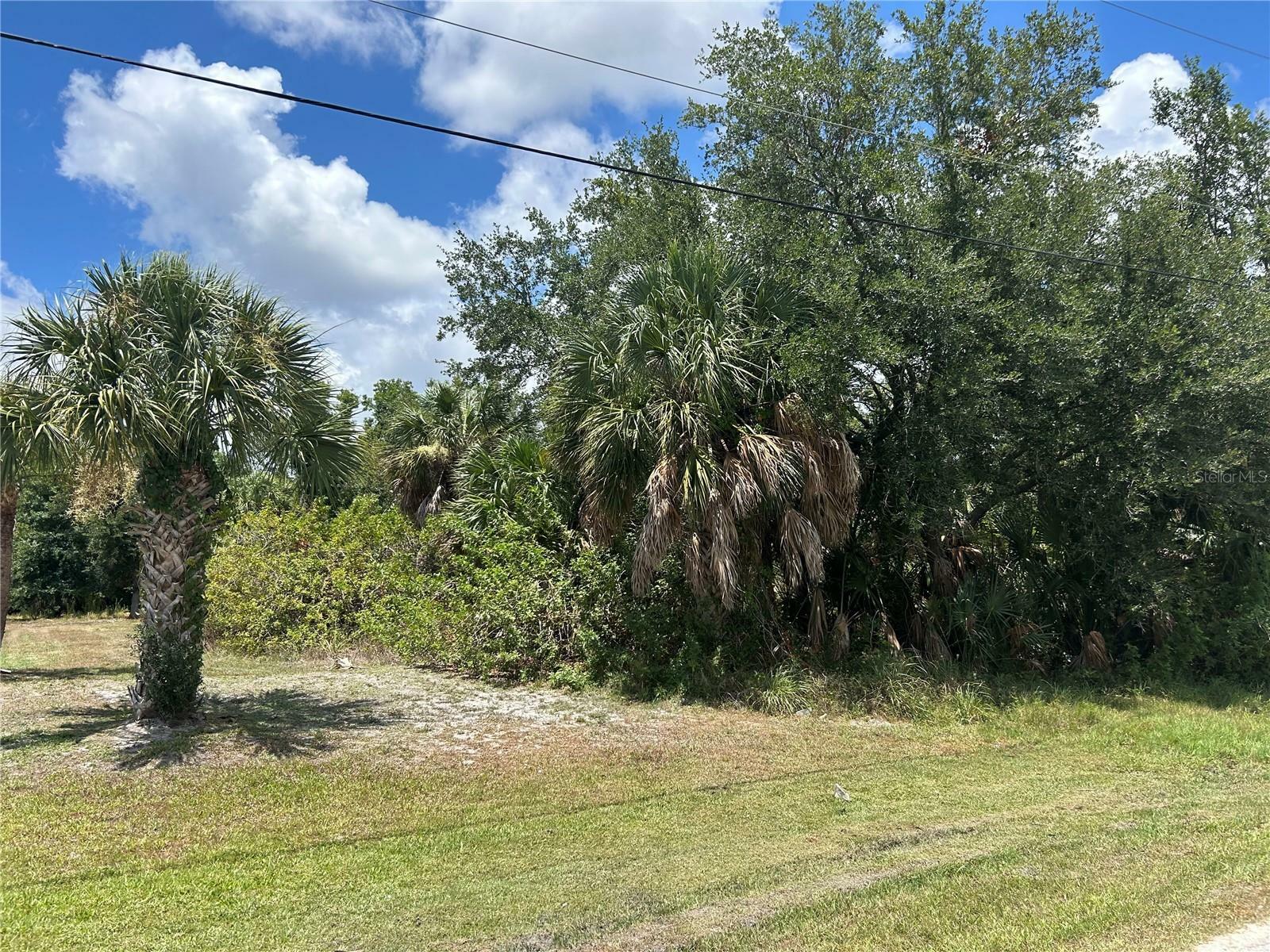 Property Photo:  11948 Newgate Avenue  FL 33981 