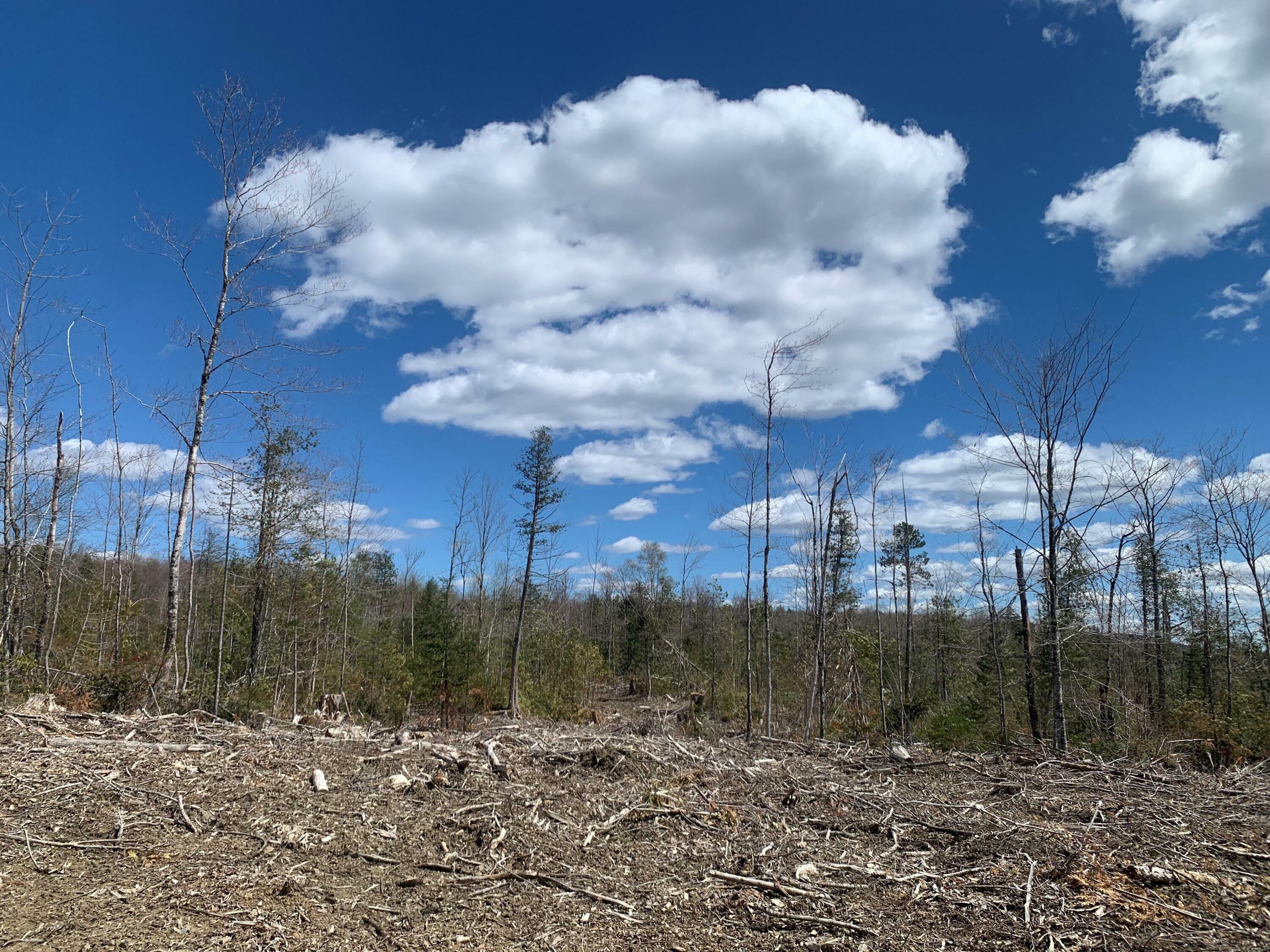 Property Photo:  0A Clearcut Lodge Road  ME 04487 