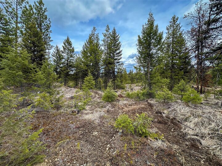 Property Photo: Lot 10 Acm Road N MT 59923