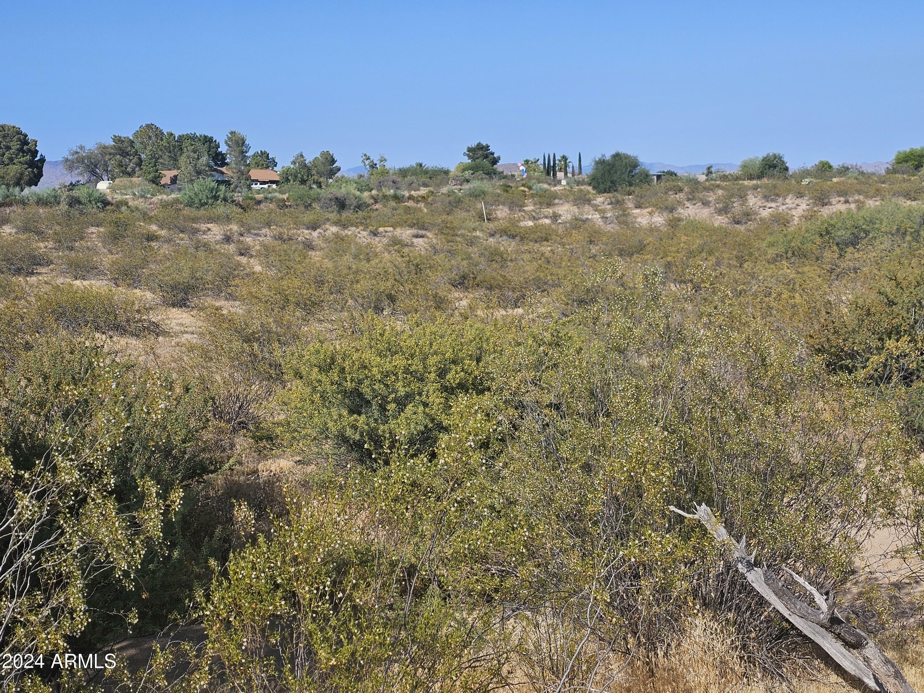 Property Photo:  35125 S Antelope Creek Road 20  AZ 85390 