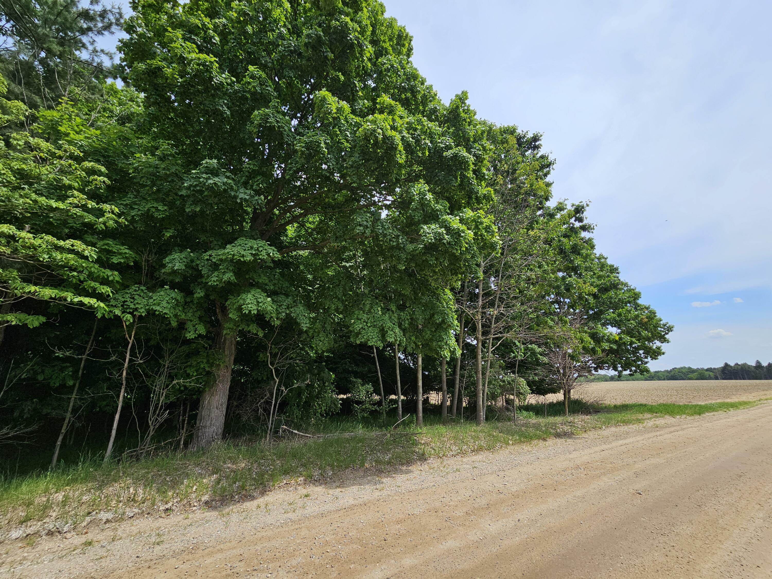 Property Photo:  Lot D Waterwheel Road  MI 48886 