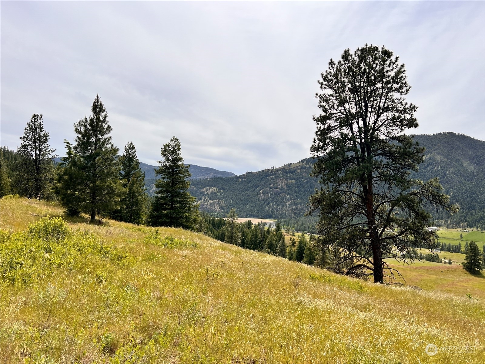 Property Photo:  0 Tbd Cathrine Creek Road  WA 99118 