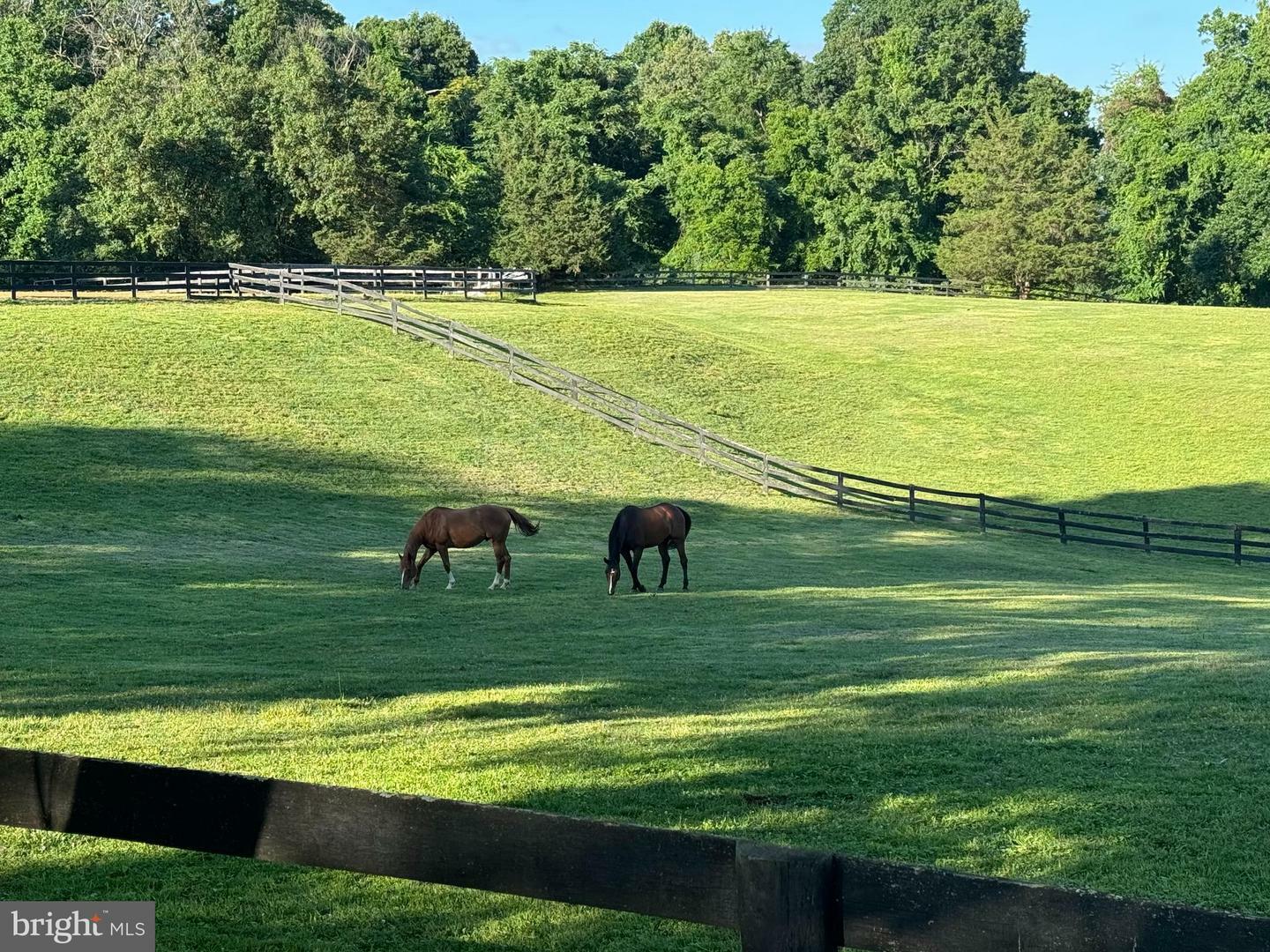 Property Photo:  9341 Cornwell Farm Drive  VA 22066 